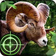 Wild Hunter 3D icon