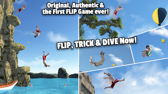 Flip Diving 1