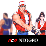 REAL BOUT FATAL FURY SPECIAL icon