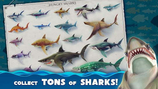 Hungry Shark World 5