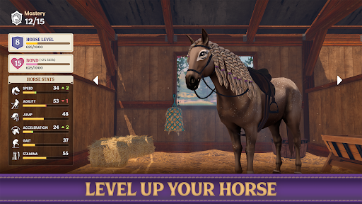 Star Equestrian screenshot 5