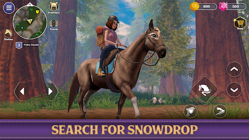 Star Equestrian screenshot 3