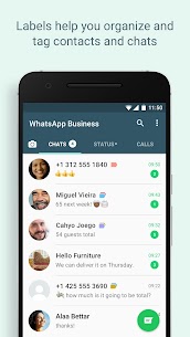 WhatsApp Business 3