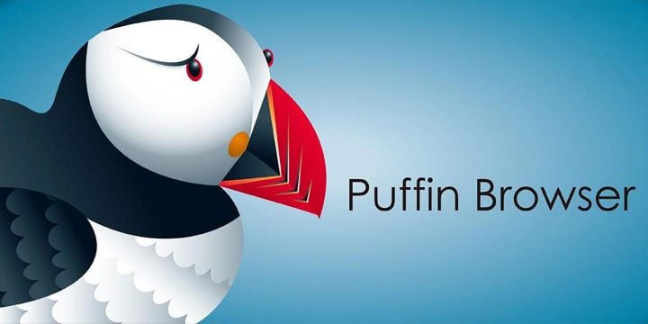 Puffin Browser Pro APK cover 