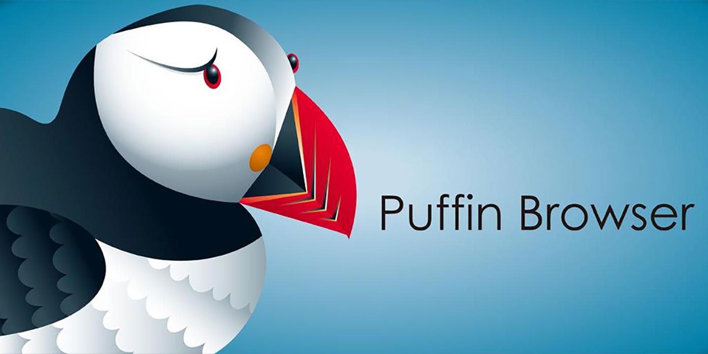 Puffin Browser Pro APK cover