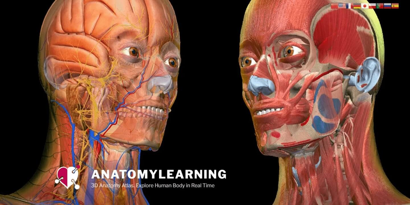 Anatomy Learning MOD APK cover