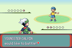 Pokémon Emerald screenshot 2