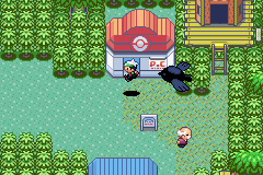 Pokémon Emerald screenshot 1