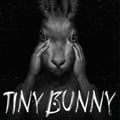 Tiny Bunny icon