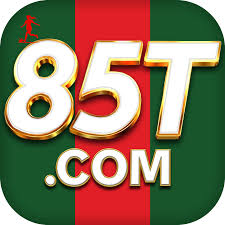 85T icon