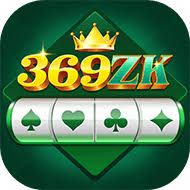 369ZK icon