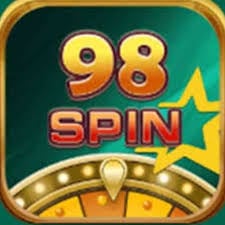 98 Spin icon