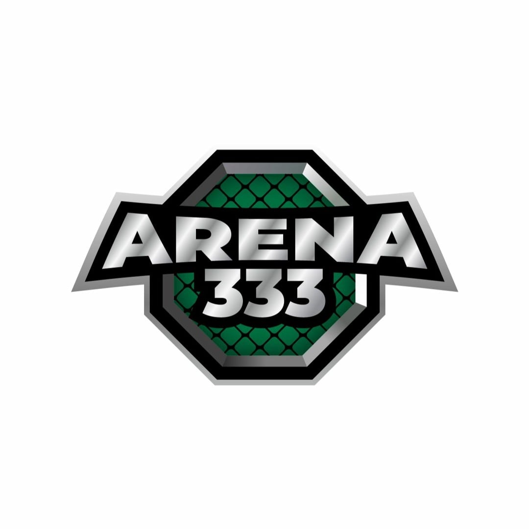 ARENA333 icon