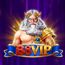 B8vip icon