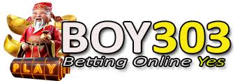 BOY303 icon