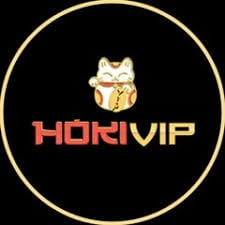 Hokivip icon