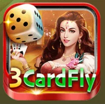 3Card Fly icon