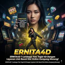 Ernita4D icon