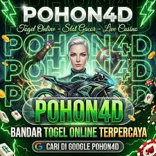 Pohon4D icon