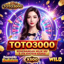 TOTO3000 icon